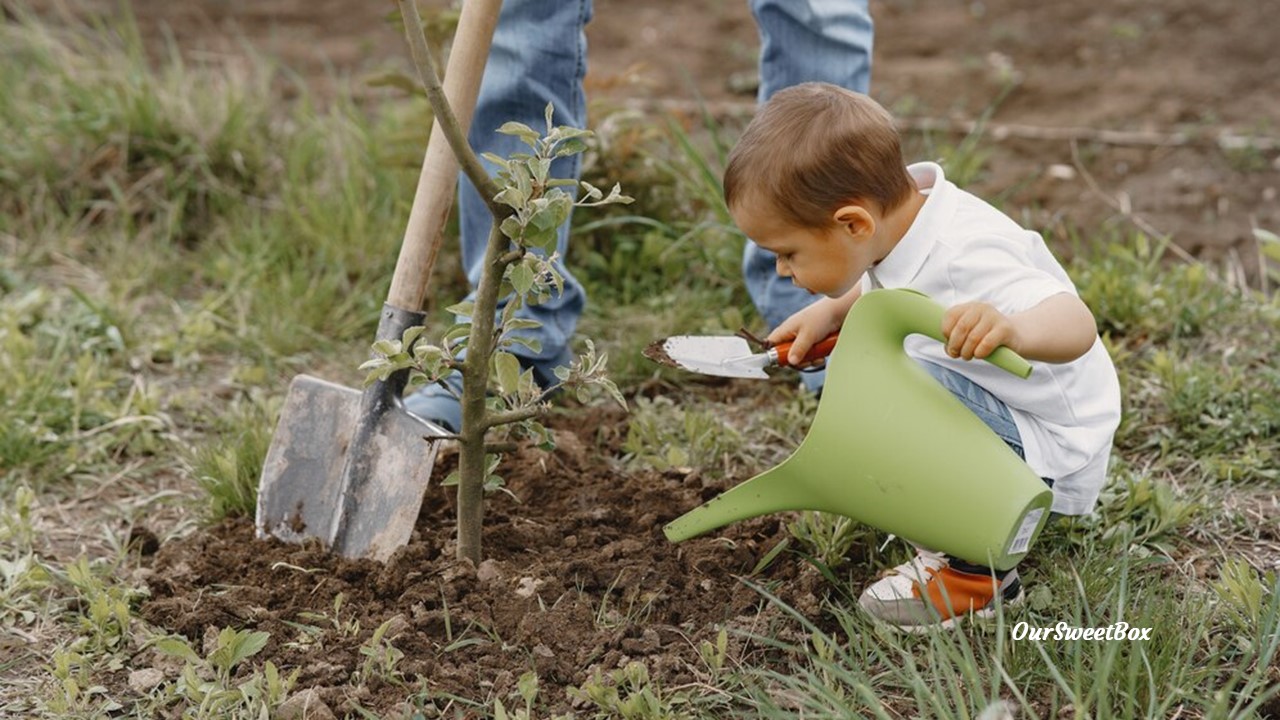 Benefícios da Jardinagem para o Desenvolvimento das crianças