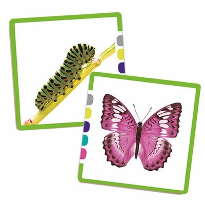 Cartões de aprendizagem com imagem de uma lagarta e uma borboleta