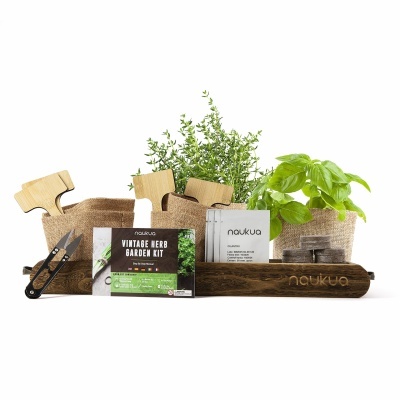 Kit Vintage - Mini horta urbana Kit Vintage - Mini horta urbana