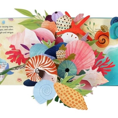 Shells: um livro pop-up de maravilhas