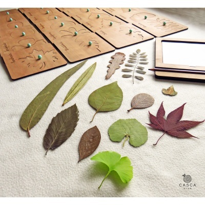 Packs Inserções/Stencils com formato de folhas