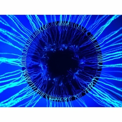 Cortina sensorial de fibra óptica