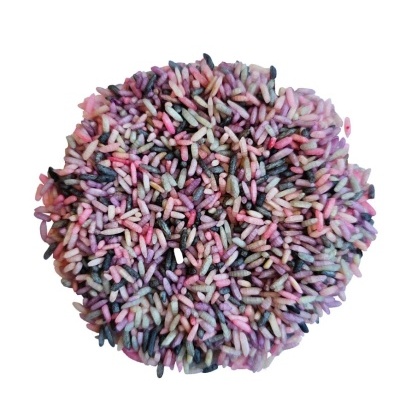 Arroz Sensorial - Temáticas