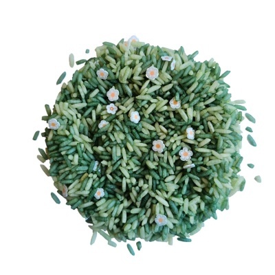 Arroz Sensorial - Temáticas