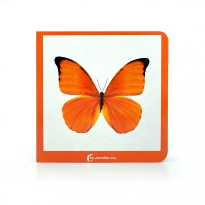 Livro infantil quadrado com capa branca e borboleta laranja