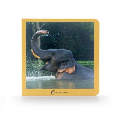 Os animais - selecione