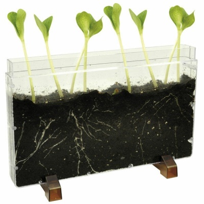 Casa para Raízes de Plantas/Minhocas