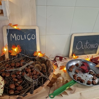 🥔🌰 Dia de Dia de São Martinho — Magusto, partilha e aprendizagem ao ar livre