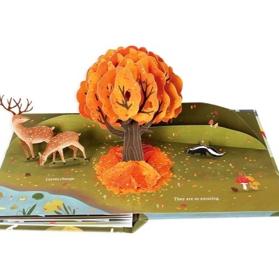 Folhas: um livro pop-up de outono