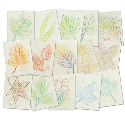 Conjunto de Placas texturas Folhas