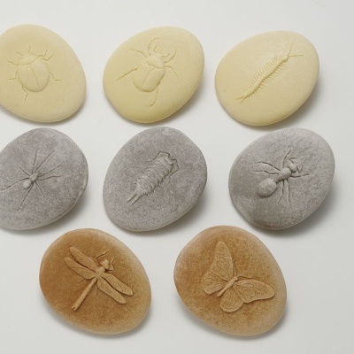 Vamos Investigar - Insetos