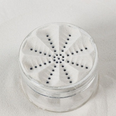 Peneiras de Areia ? Formas Estelares