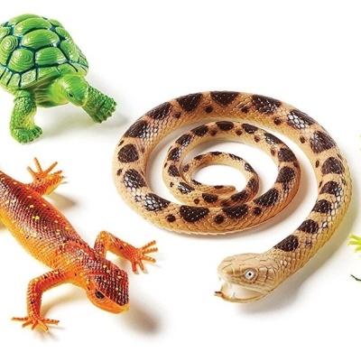 Répteis e Anfíbios - Jumbo