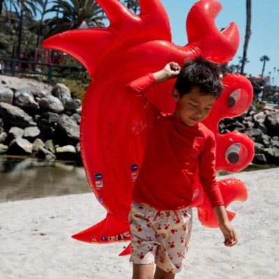 Coleção de Boias Swim Essentials - vários modelos