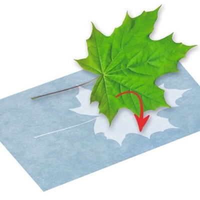 Papel para impressão solar PhenoMINT