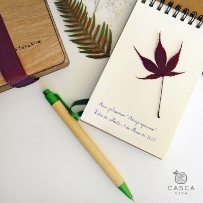 Kit Secagem de Flores - Kit 1 e 2