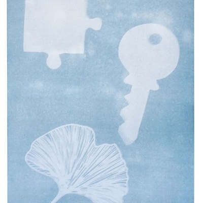 Papel para impressão solar PhenoMINT