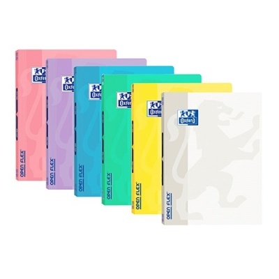 Seis dossiers coloridos Oxford com padrão de leão e capas coloridas variadas