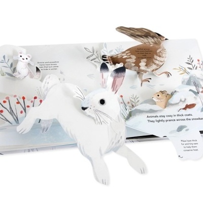 Snowscape: A Winter Pop-up