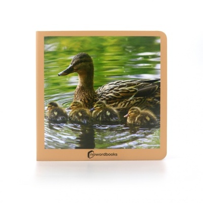 Animais em família 1