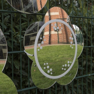 Set Espelhos Margaridas