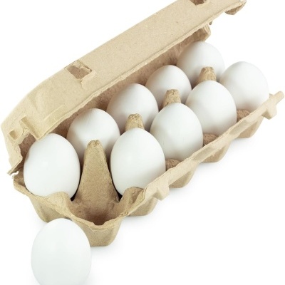 Dez ovos brancos em embalagem de cartão castanho