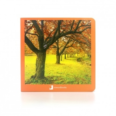 As estações - selecione