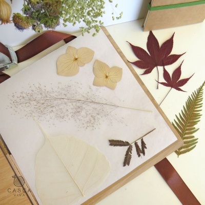 Kit Secagem de Flores - Kit 1 e 2