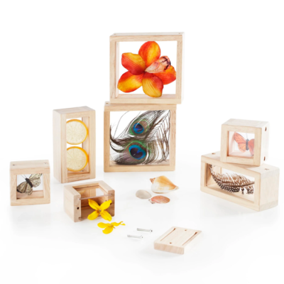 Caixas de madeira com objetos naturais visíveis por tampas de vidro