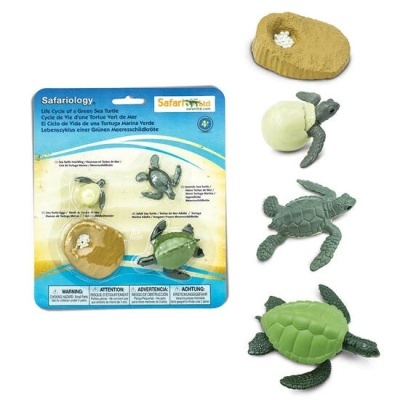 Ciclos de Vida - vários modelos