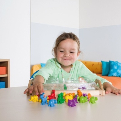 Bandeja com fundo transparente