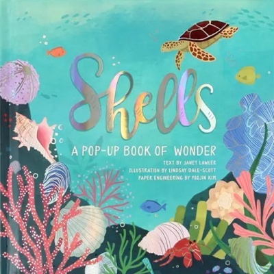 Shells: um livro pop-up de maravilhas