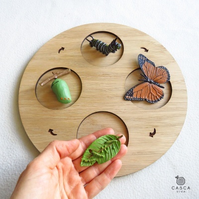 Tabuleiros para Ciclos de Vida