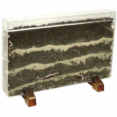 Casa para Raízes de Plantas/Minhocas