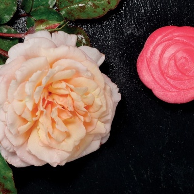 Flores ? Pedras de Jogo Sensorial