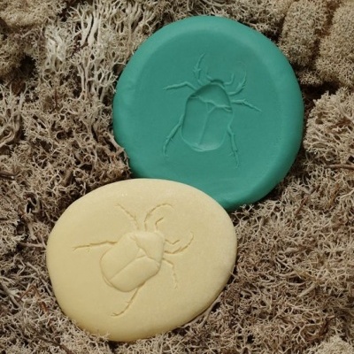 Vamos Investigar - Insetos