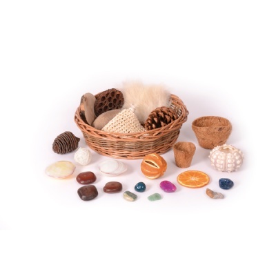 Cesta de Tesouros Naturais