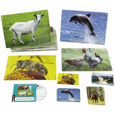 Cartões com imagens de animais e CD em embalagem azul