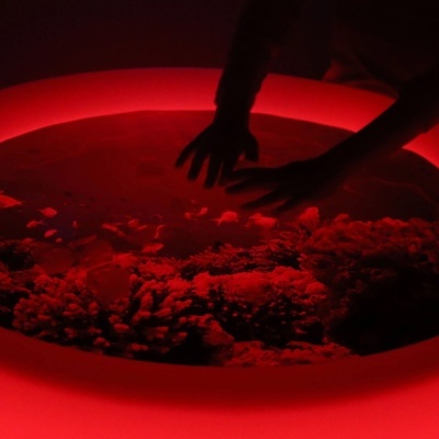 Mesa Sensorial de Exploração Luminosa