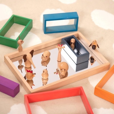 Amigos Animais de Madeira