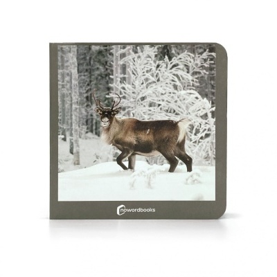 Os animais - selecione