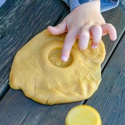 Let?s Roll ? Rolos Insetos do Jardim