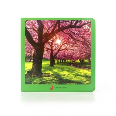 As estações - selecione