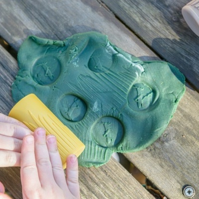 Let?s Roll ? Rolos Insetos do Jardim