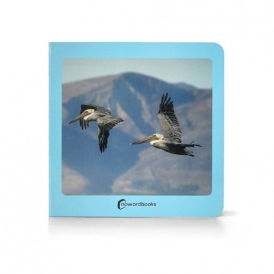 Os animais - selecione