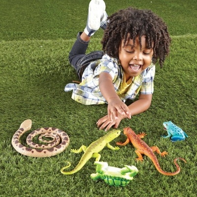 Répteis e Anfíbios - Jumbo