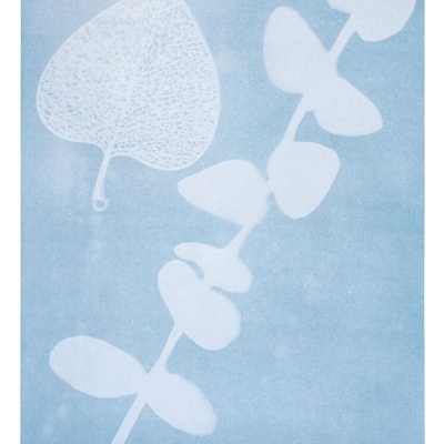 Papel para impressão solar PhenoMINT