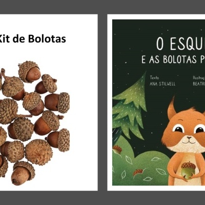 Box Estações do Ano - O Outono