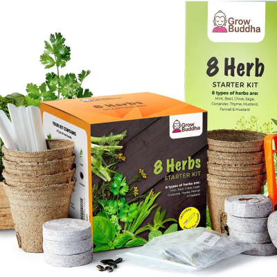 kit de início de sementes