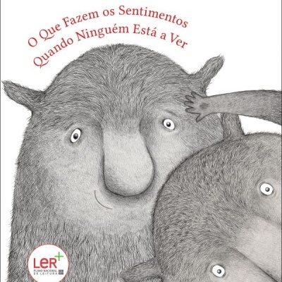 O Que Fazem os Sentimentos Quando Ninguém Está a Ver